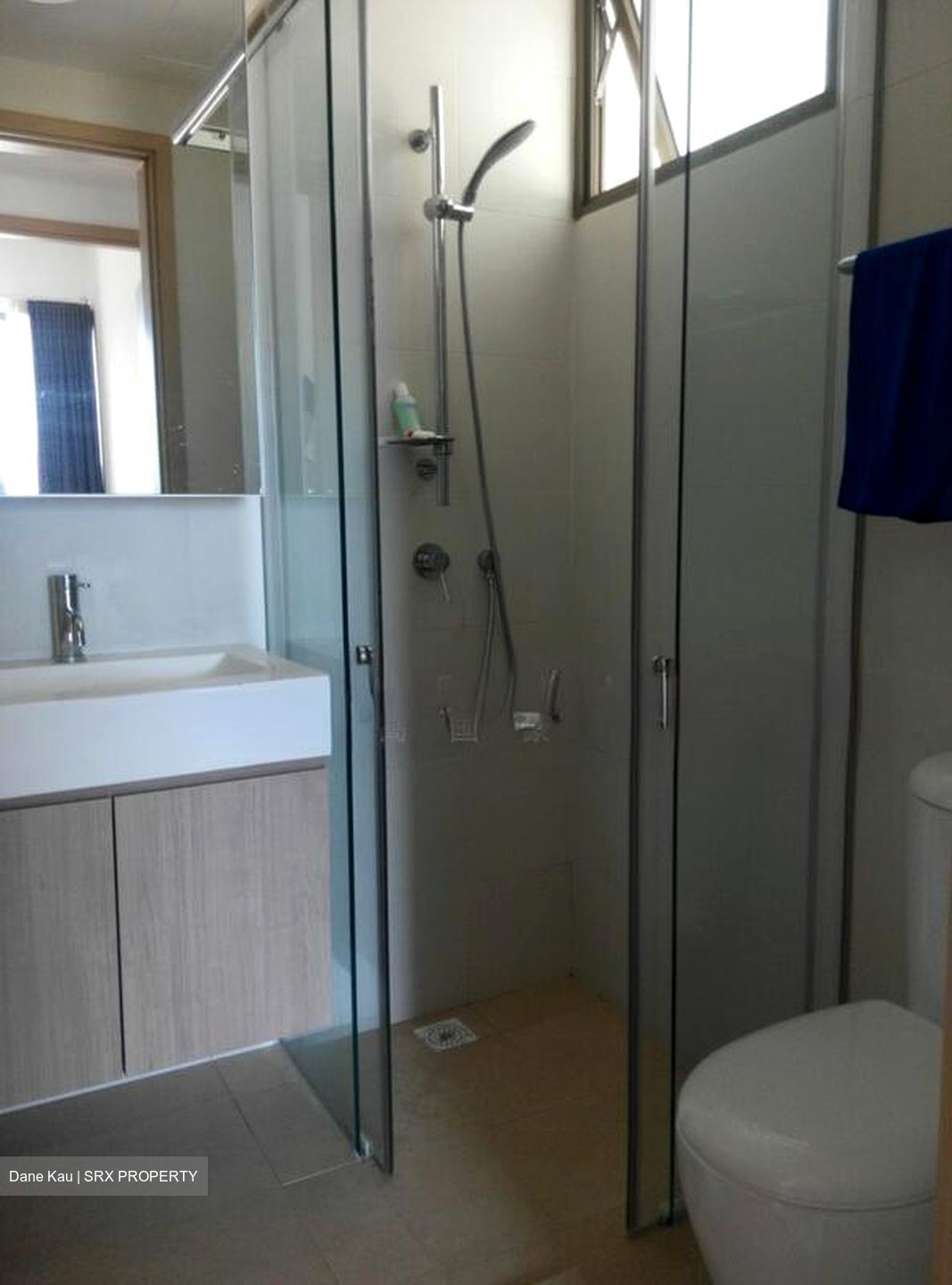 Charlton Lane (D19), Condominium #507910961